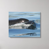 Center for Whale Research - Canvas print (Voorkant)