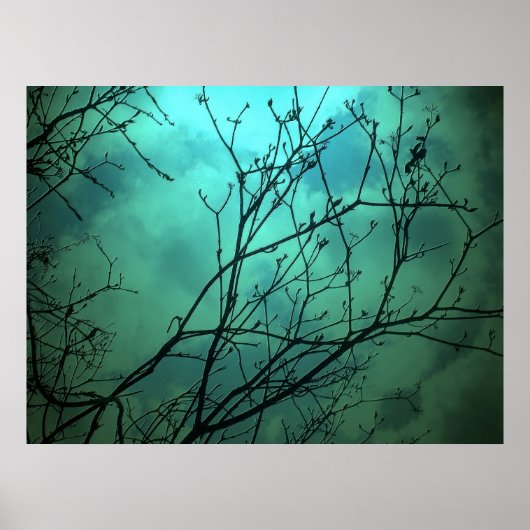 Center Island Fantasy Skyline - Toronto Poster (Voorkant)