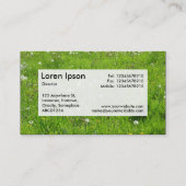 Center Label v3 - Dandelion Meadow 02 (Achterkant)