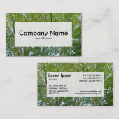 Center Label v3 - Japanse aple (Voorkant / Achterkant)