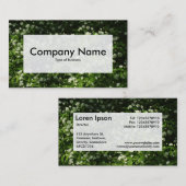 Center Label v3 - Wilde knoflook (Voorkant / Achterkant)