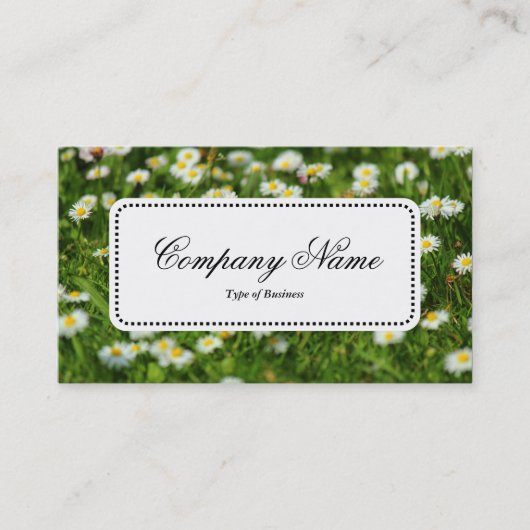 Center Label v5 - Daisy Meadow (Voorkant)