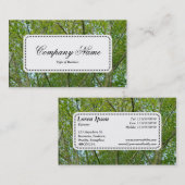 Center Label v5 - Japanse aple (Voorkant / Achterkant)