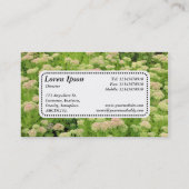 Center Label v5 - Sedum (herfst Joy) (Achterkant)