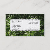 Center Label v5 - Wilde knoflook (Achterkant)