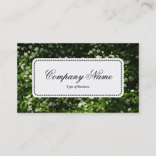 Center Label v5 - Wilde knoflook