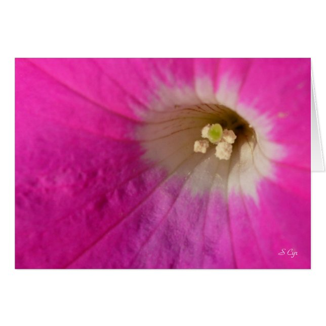 Center Stage, S Cyr (Voorkant Horizontaal)