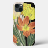 Centerpart II Case-Mate iPhone Case (Achterkant)