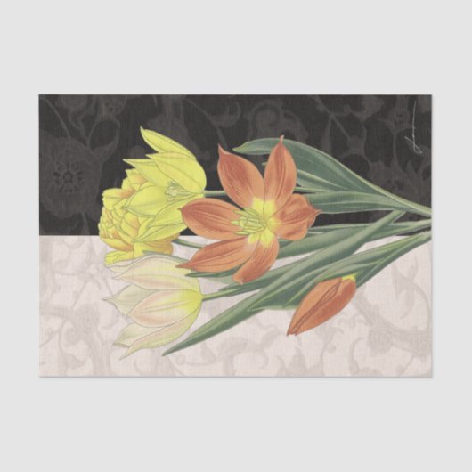 Centerpart II Tissuepapier (Voorkant)