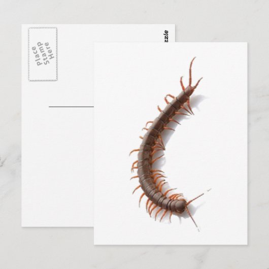 Centipede Briefkaart (Voorkant / Achterkant)