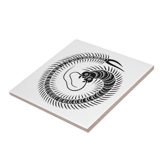 Centipede cirkel tegeltje (Zijkant)