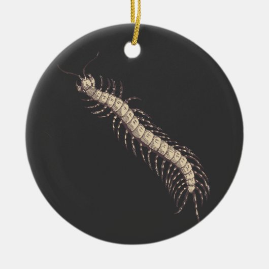 Centipede Ornament (Voorkant)