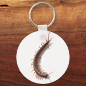 Centipede Sleutelhanger (Voorkant)