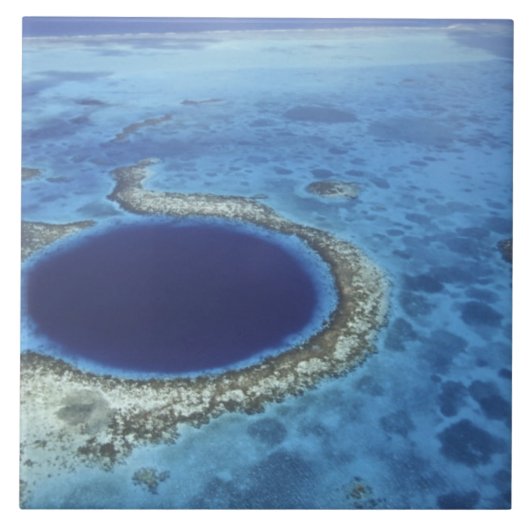 CENTRAAL-AMERIKA, Belize, grote koraalriffen van Tegeltje (Voorkant)