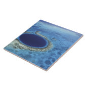 CENTRAAL-AMERIKA, Belize, grote koraalriffen van Tegeltje (Zijkant)