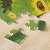 CENTRAAL-AMERIKA, Costa Rica, kikker met achtergro Legpuzzel (Zijkant)