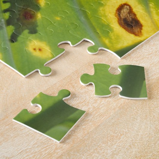 CENTRAAL-AMERIKA, Costa Rica, kikker met achtergro Legpuzzel (Zijkant)