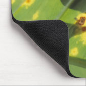 CENTRAAL-AMERIKA, Costa Rica, kikker met achtergro Muismat (Hoek)