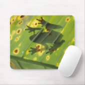 CENTRAAL-AMERIKA, Costa Rica, kikker met achtergro Muismat (Met muis)