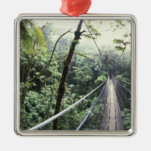 Centraal-Amerika, Costa Rica, Monteverde Cloud Metalen Ornament (Voorkant)