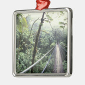 Centraal-Amerika, Costa Rica, Monteverde Cloud Metalen Ornament (Links)