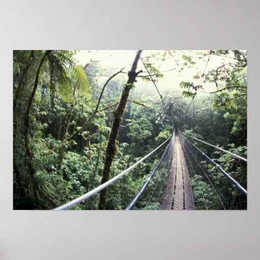 Centraal-Amerika, Costa Rica, Monteverde Cloud Poster (Voorkant)