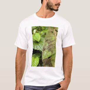 Centraal-Amerika, Costa Rica, Sarapiqui, Braulio T-shirt