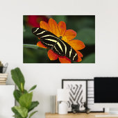 Centraal-Amerika, Costa Rica, Selva Verde Poster (Thuiskantoor)