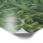 CENTRAAL-AMERIKA FOTO AFDRUK (Hoek)