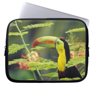 Centraal-Amerika, Honduras. Roodsnaveltoekan Laptop Sleeve