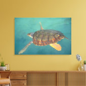 Centraal-Amerika, Panama, Bocas Del Torro Canvas Afdruk (Insitu (Woonkamer))