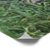 CENTRAAL-AMERIKA POSTER (Hoek)