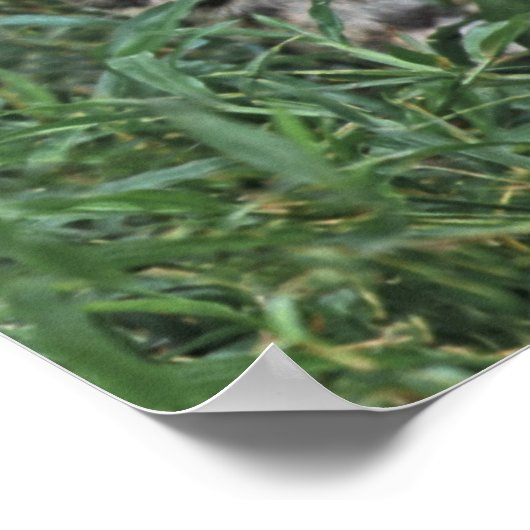 CENTRAAL-AMERIKA POSTER (Hoek)