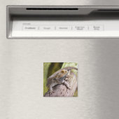 Centraal bebaarde draak op kop koffie briefkaart m magneet (Insitu (Vaatwasser))