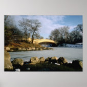 Centraal Brugbrug Winter NYC Poster (Voorkant)