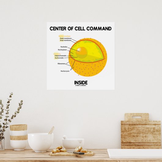 Centraal celcommando in nucleus-biologie poster (Keuken)