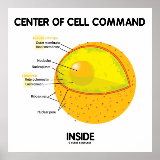 Centraal celcommando in nucleus-biologie poster (Voorkant)