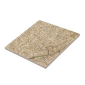 Centraal Duitsland 3 Tegeltje (Zijkant)