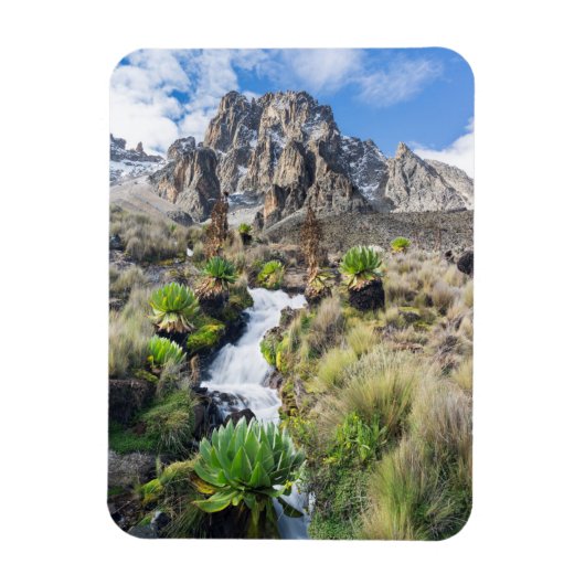 Centraal Nationaal Park Mount Kenya Magneet (Verticaal)