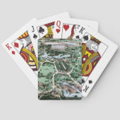 CENTRAAL PARK, 1860 SPEELKAARTEN (Achterkant)