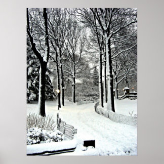 Centraal park 2010 Sneeuw - CIMG6446 Poster