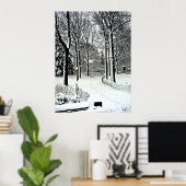 Centraal park 2010 Sneeuw - CIMG6446 Poster (Thuiskantoor)