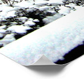 Centraal park 2010 Sneeuw - CIMG6446 Poster (Hoek)