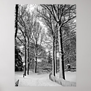 Centraal park 2010 Sneeuw - CIMG6447-a Poster