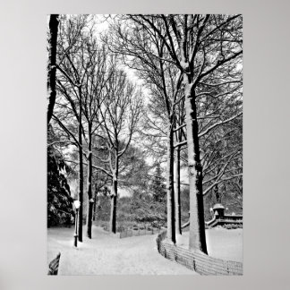 Centraal park 2010 Sneeuw - CIMG6447-a Poster