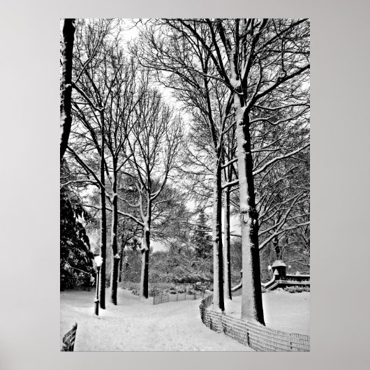 Centraal park 2010 Sneeuw - CIMG6447-a Poster (Voorkant)