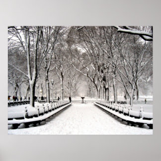 Centraal park 2010 Sneeuw - CIMG6496 Poster