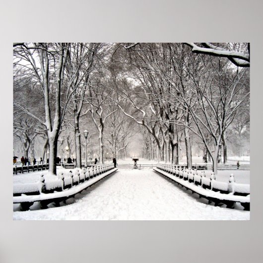 Centraal park 2010 Sneeuw - CIMG6496 Poster (Voorkant)