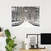 Centraal park 2010 Sneeuw - CIMG6496 Poster (Thuiskantoor)