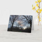 Centraal Park B Kaart (Gele Bloem)